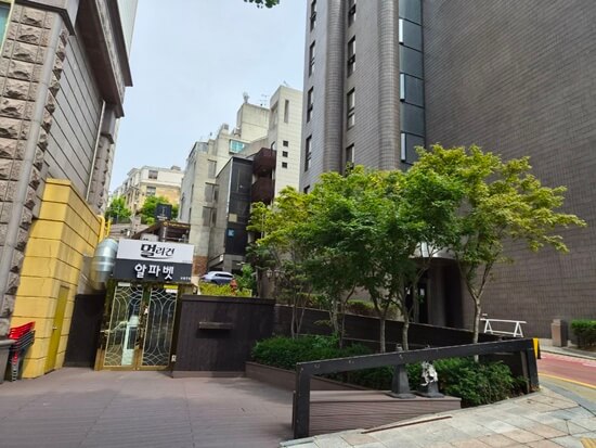 강남 멀리건 쩜오 매장 앞 거리